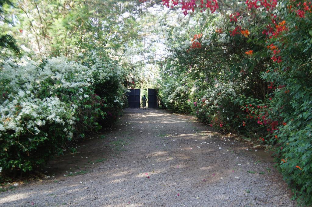 Meru House Lekisilai Arusha Bagian luar foto